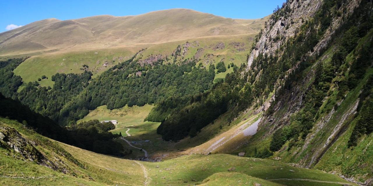 Le 41 Avenue Foch Hotell Bagnères-de-Luchon Exteriör bild